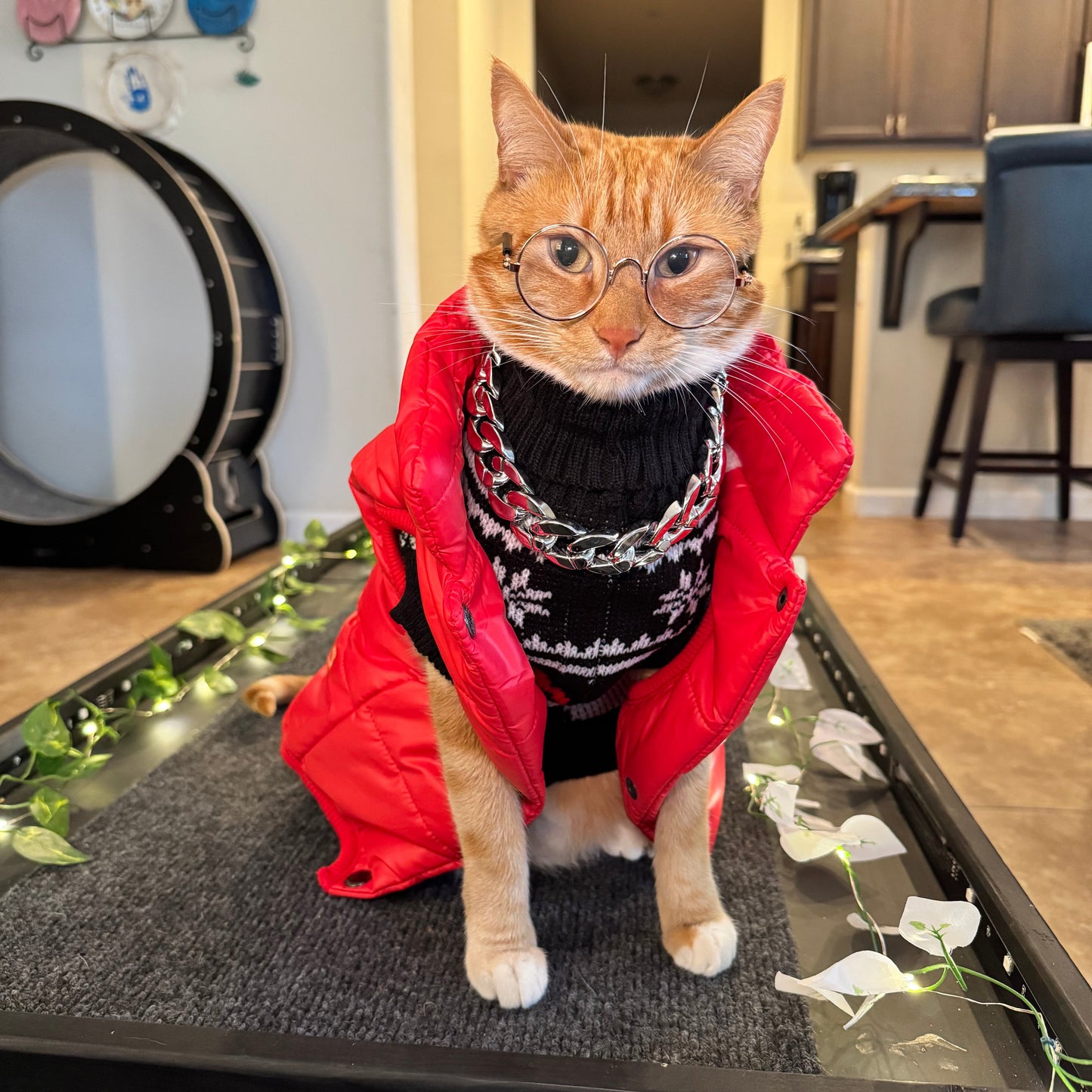 Pet Puff Vest