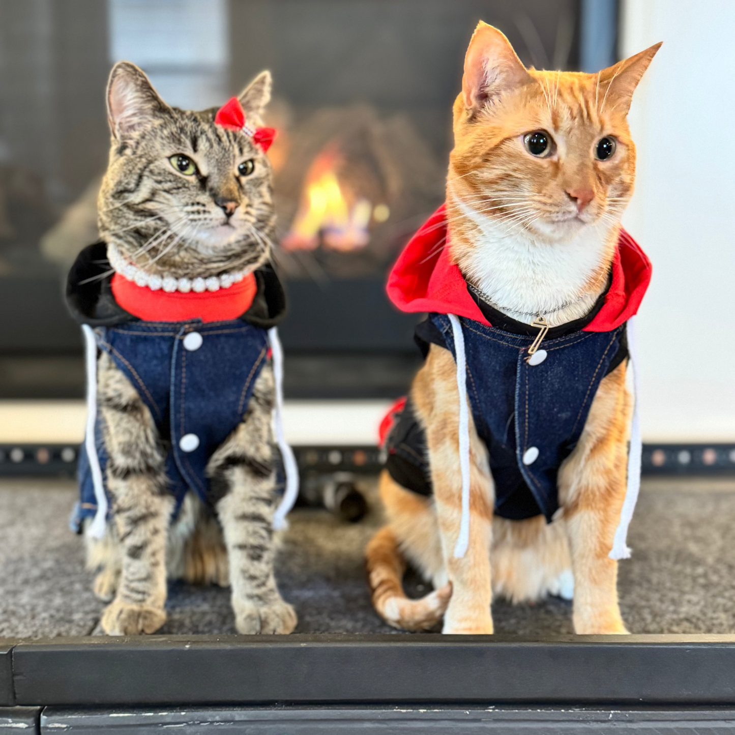 Pet Hoodie Vest