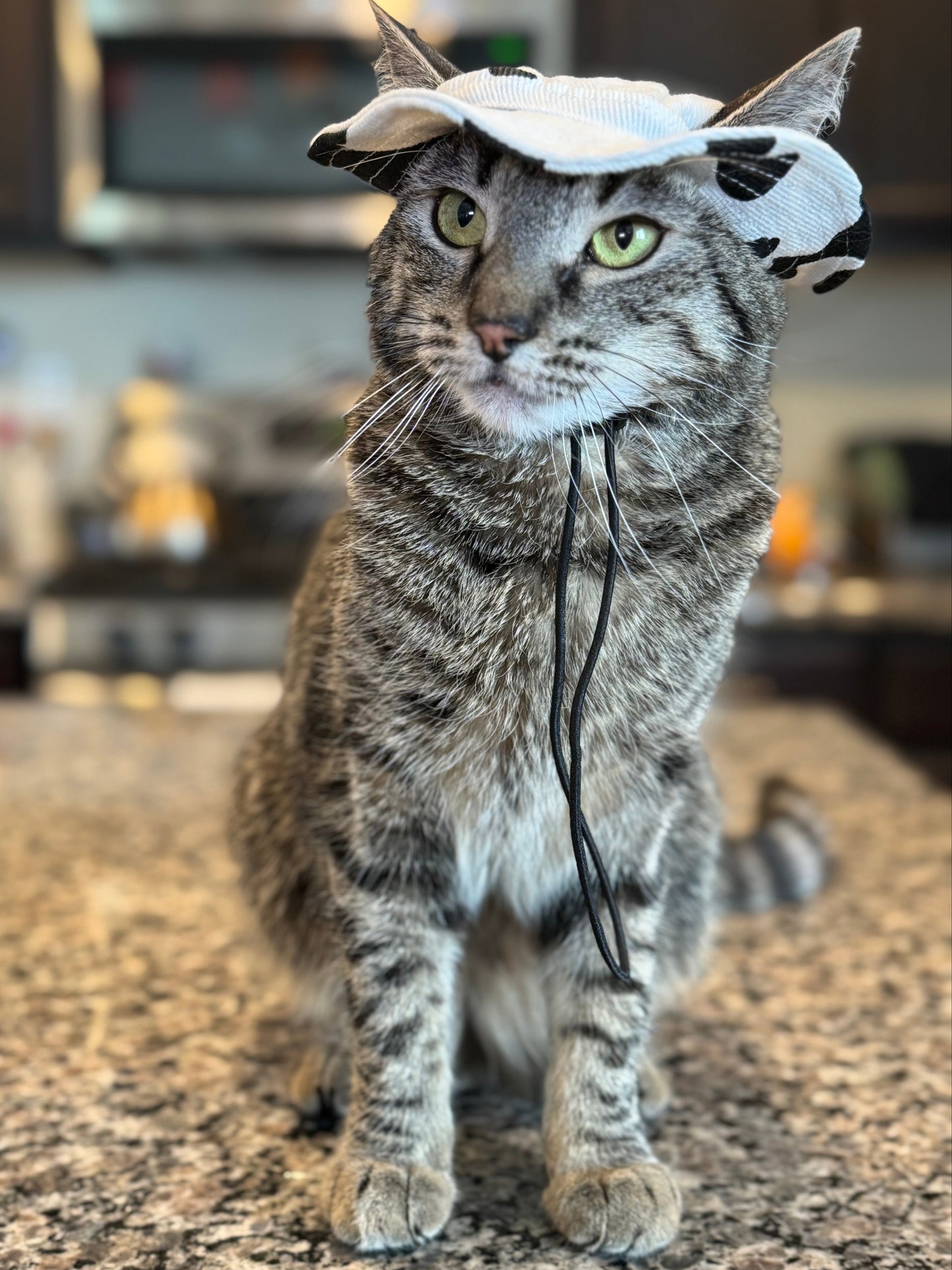 Pet Bucket Hats