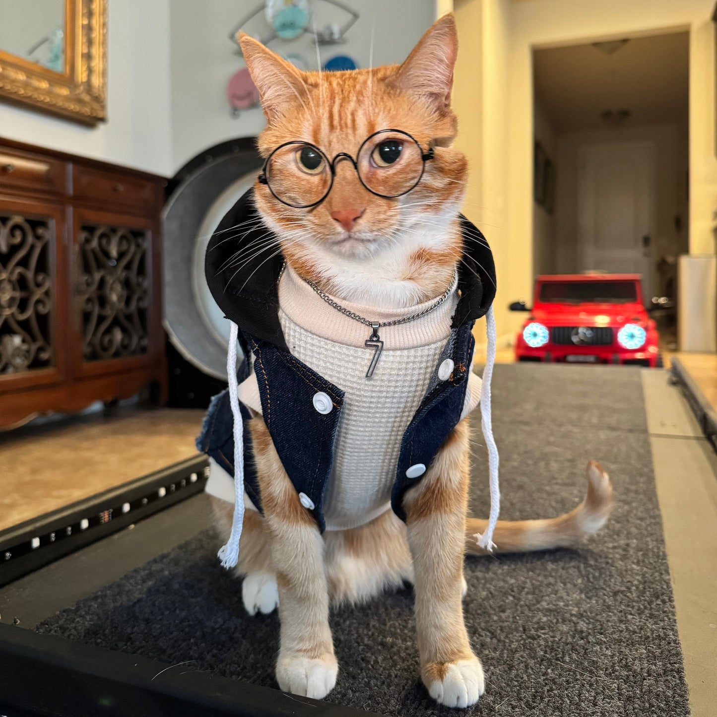 Pet Hoodie Vest