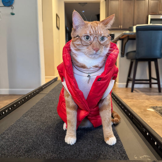 Pet Puff Vest