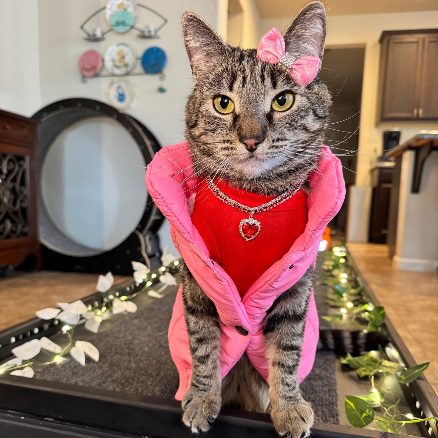 Pet Puff Vest
