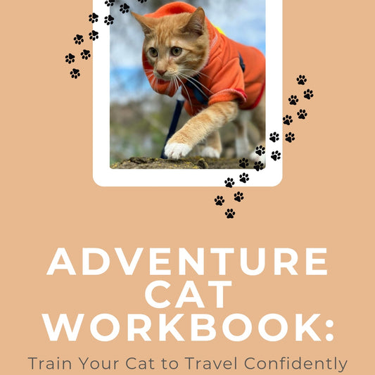 E-book: The Ultimate Guide to Car Travel With Cats