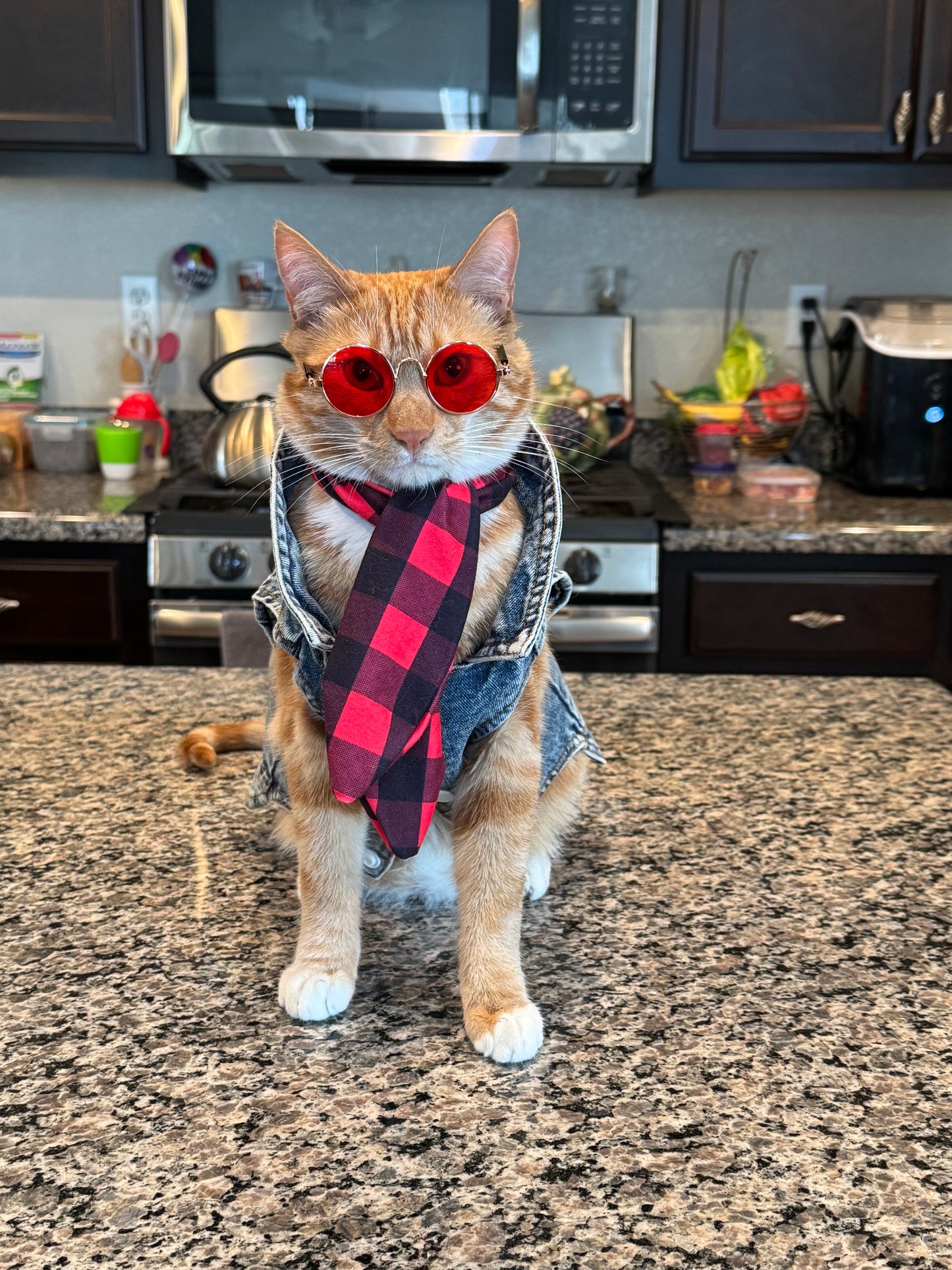 Pet Scarf