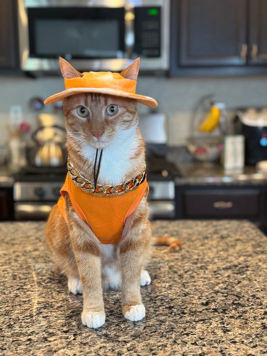 Pet Essential Shirt
