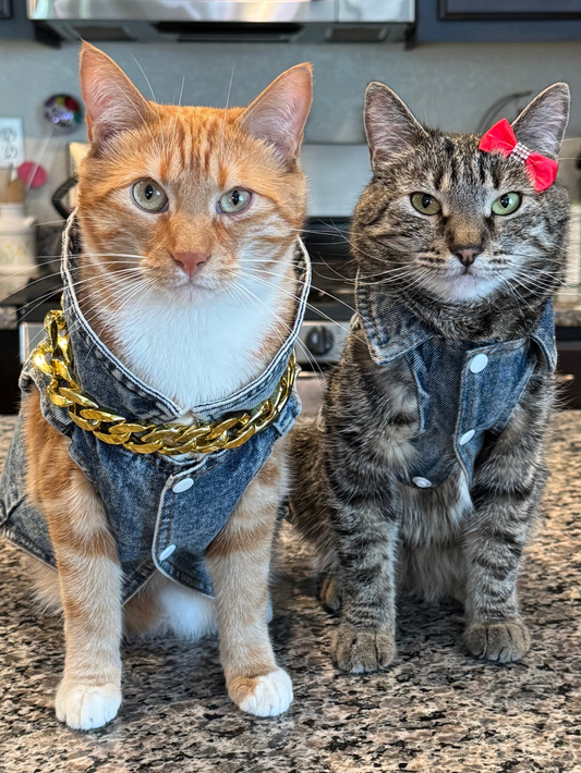 Pet Denim Vest Jacket