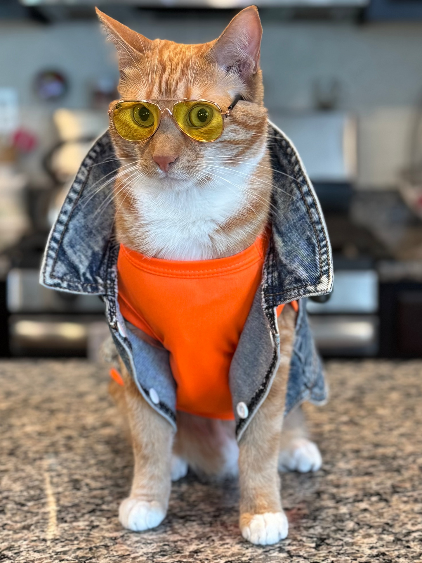 Pet Essential Shirt