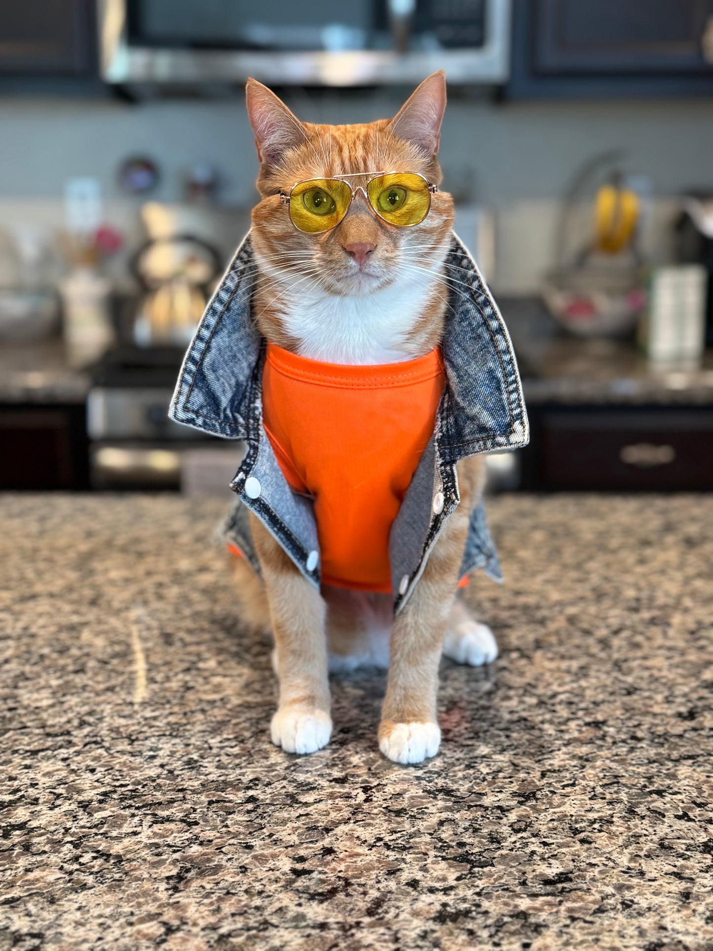 Catwalk Sunglasses
