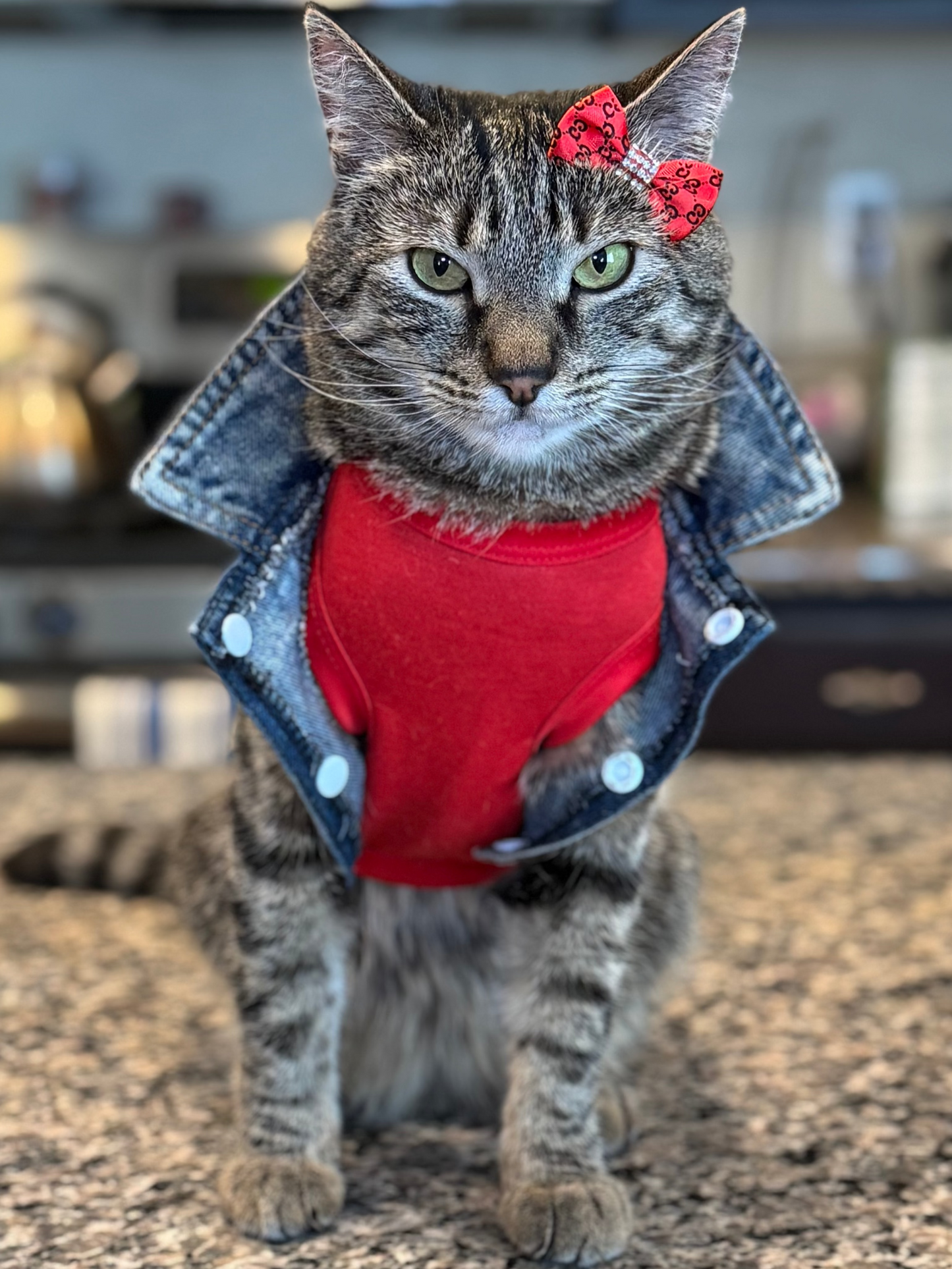 Pet Assorted & Matching- Rhinestone Bows