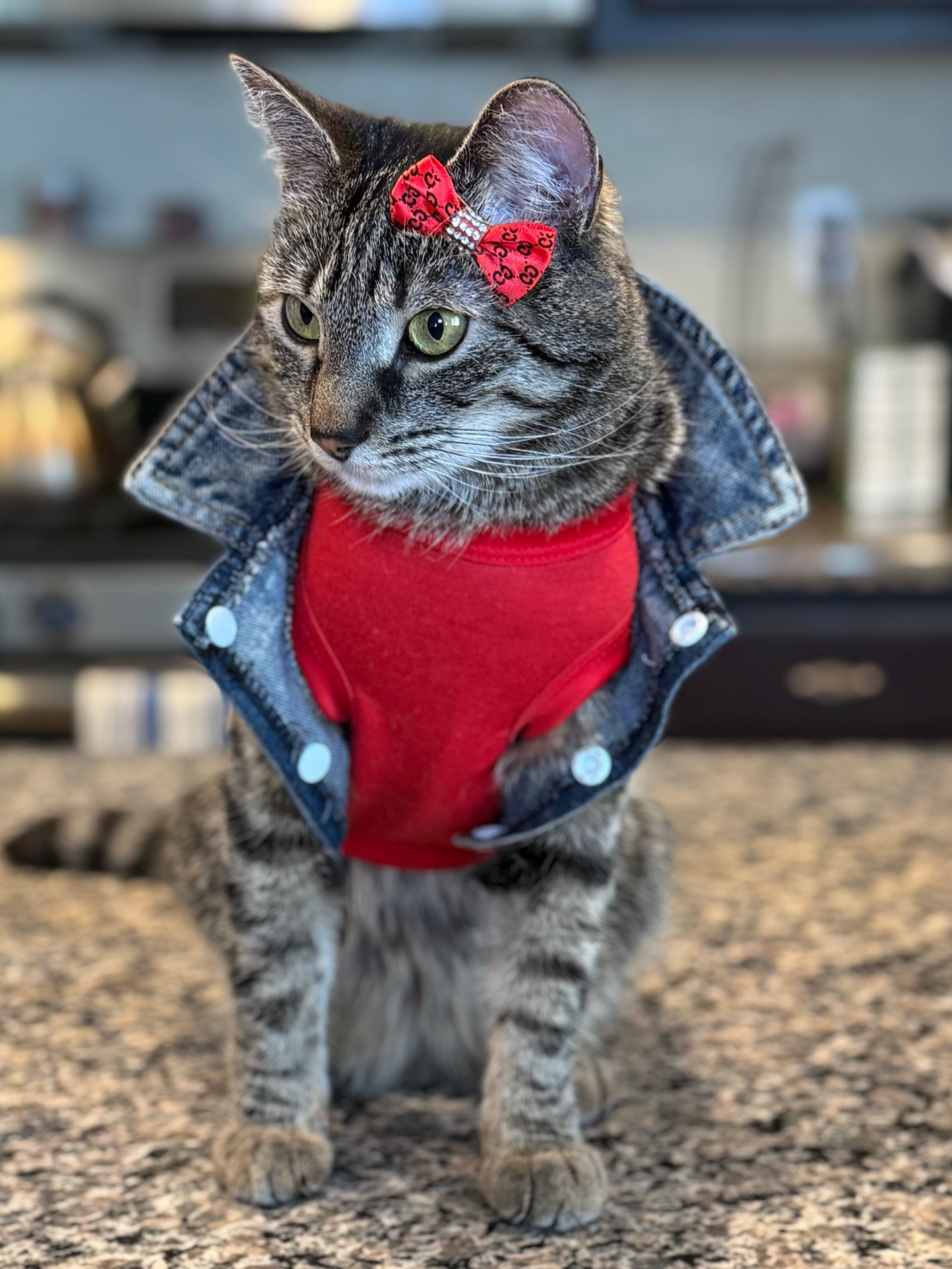 Pet Assorted & Matching- Rhinestone Bows