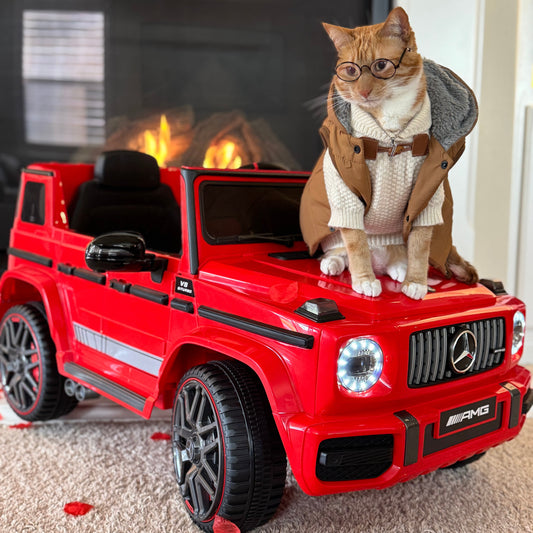 Cat wearing glasses and a coat standing on a red toy Mercedes-Benz G-Class car with a fireplace in the background.