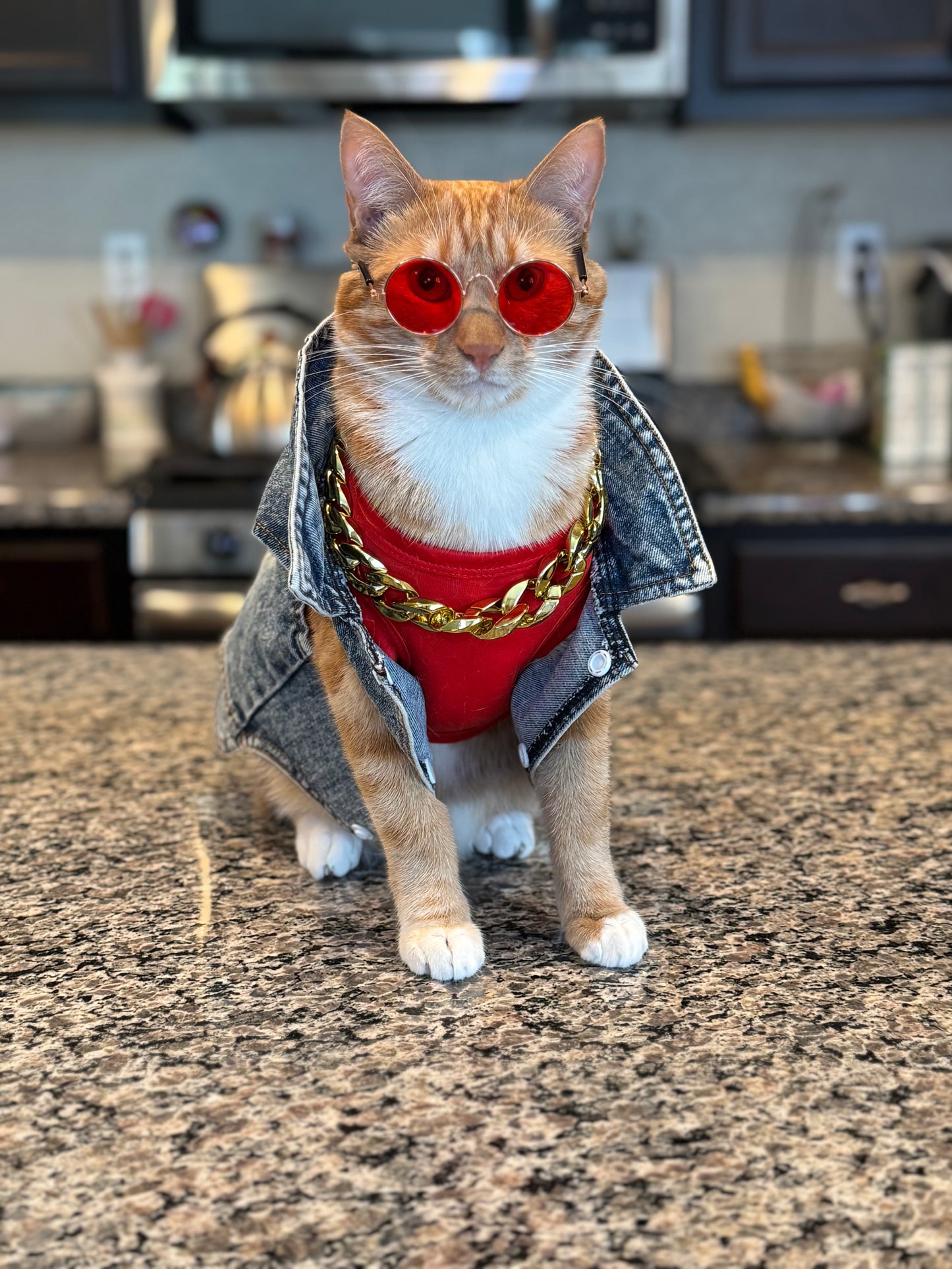 Catwalk Sunglasses