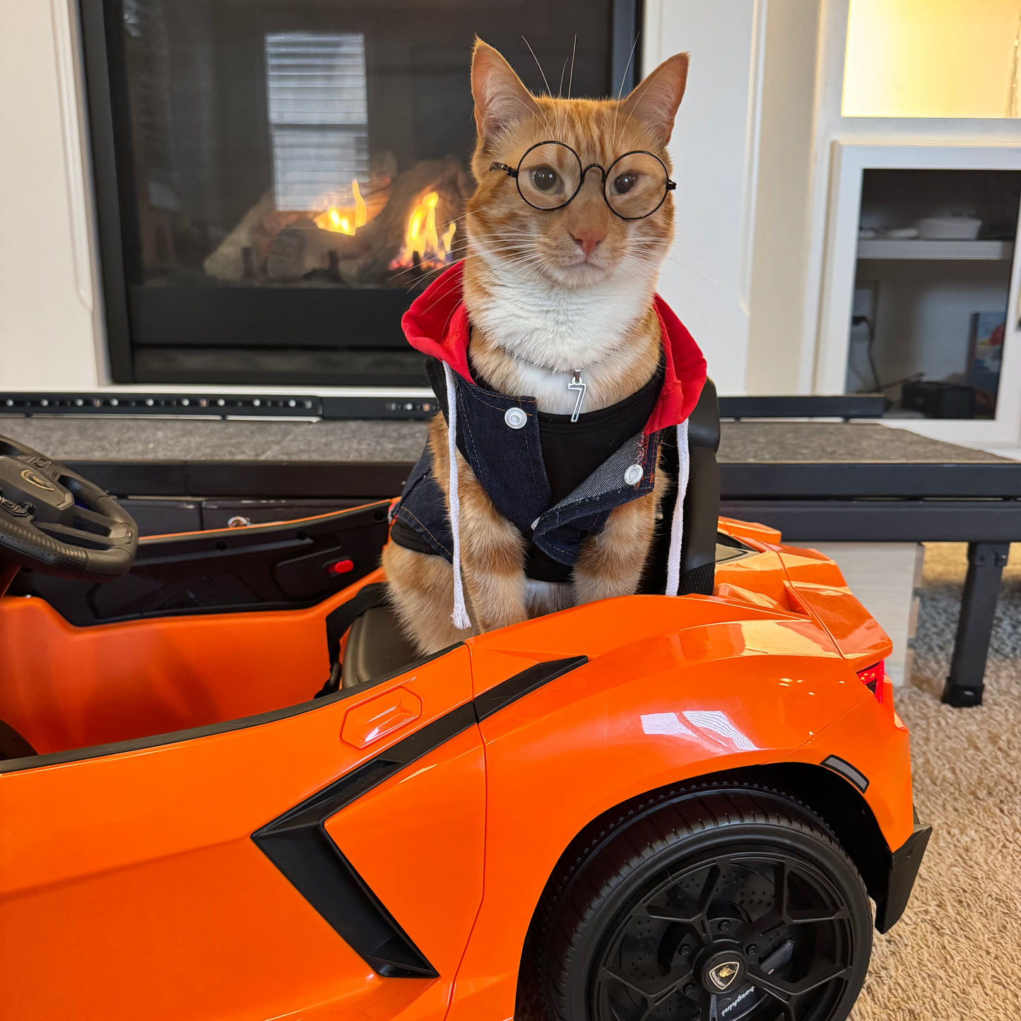 Pet Hoodie Vest