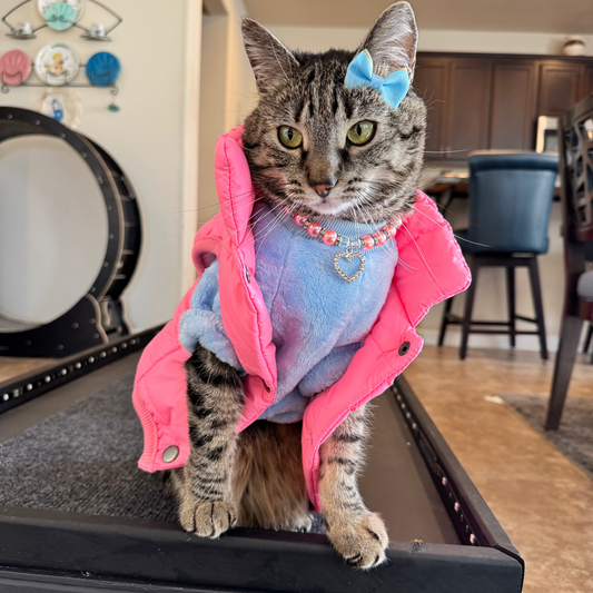 Pet Puff Vest