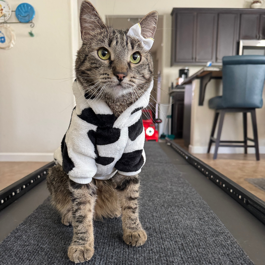 COW HOODIE