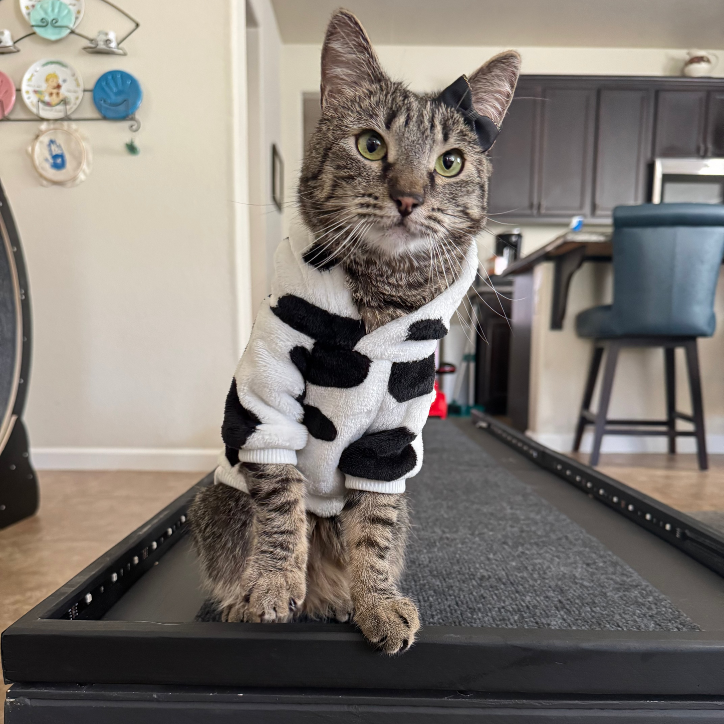 COW HOODIE