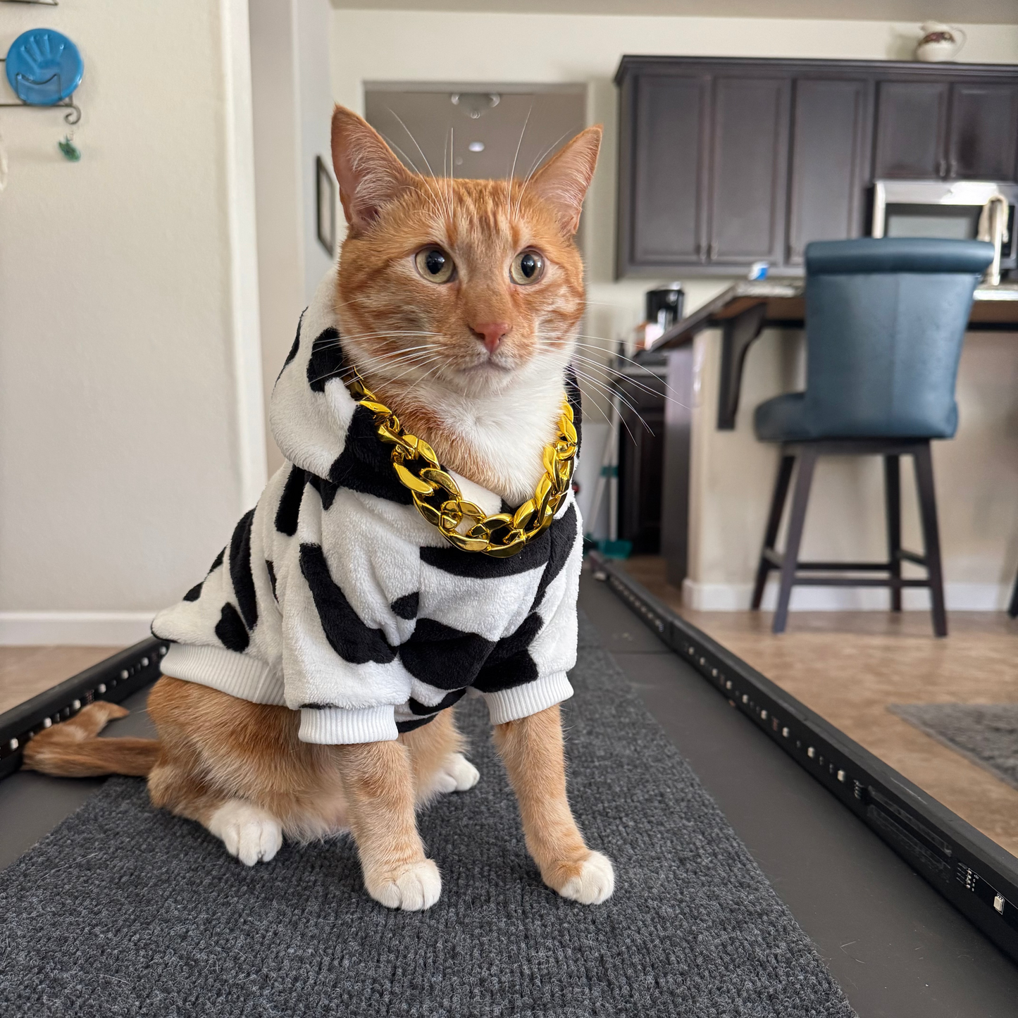 COW HOODIE