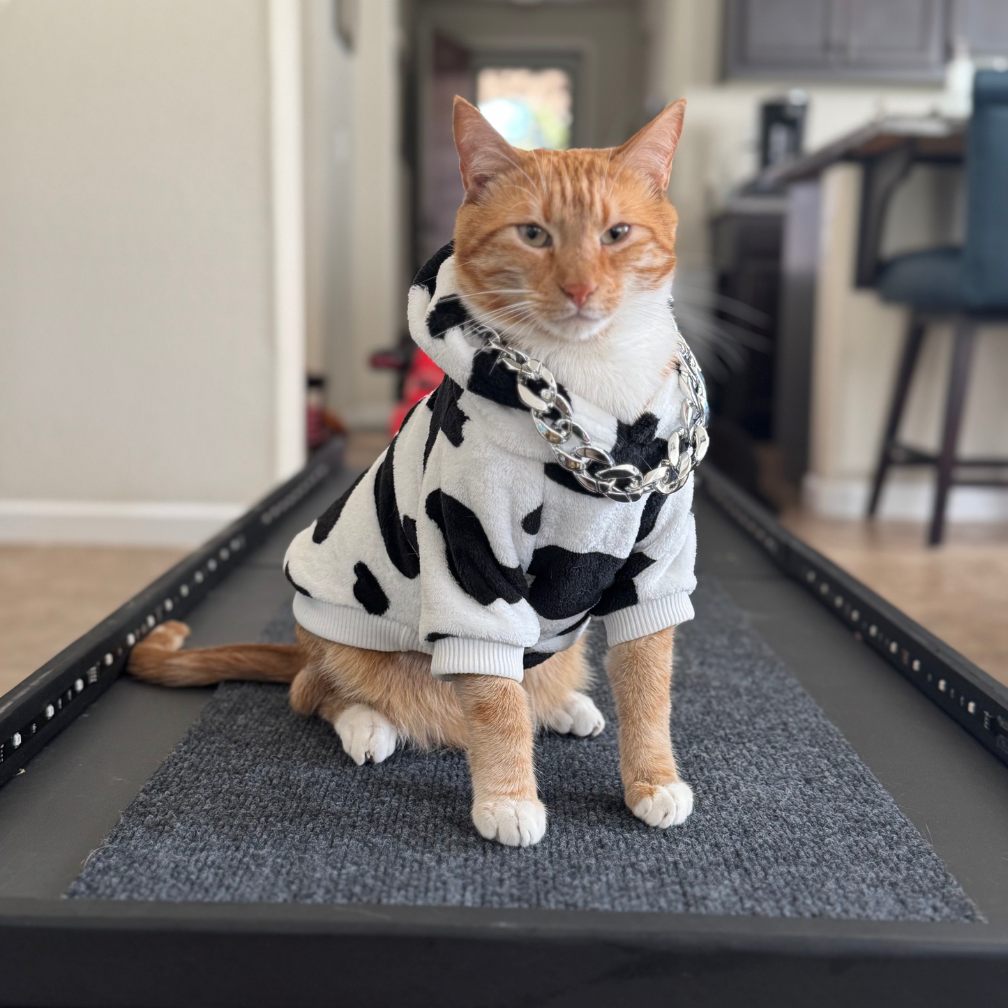 COW HOODIE