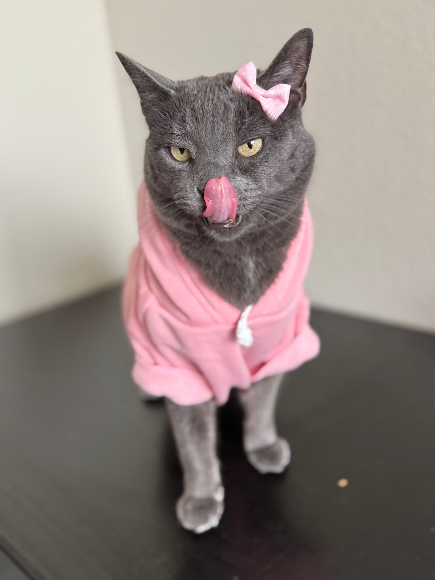 SOLID PET HOODIE