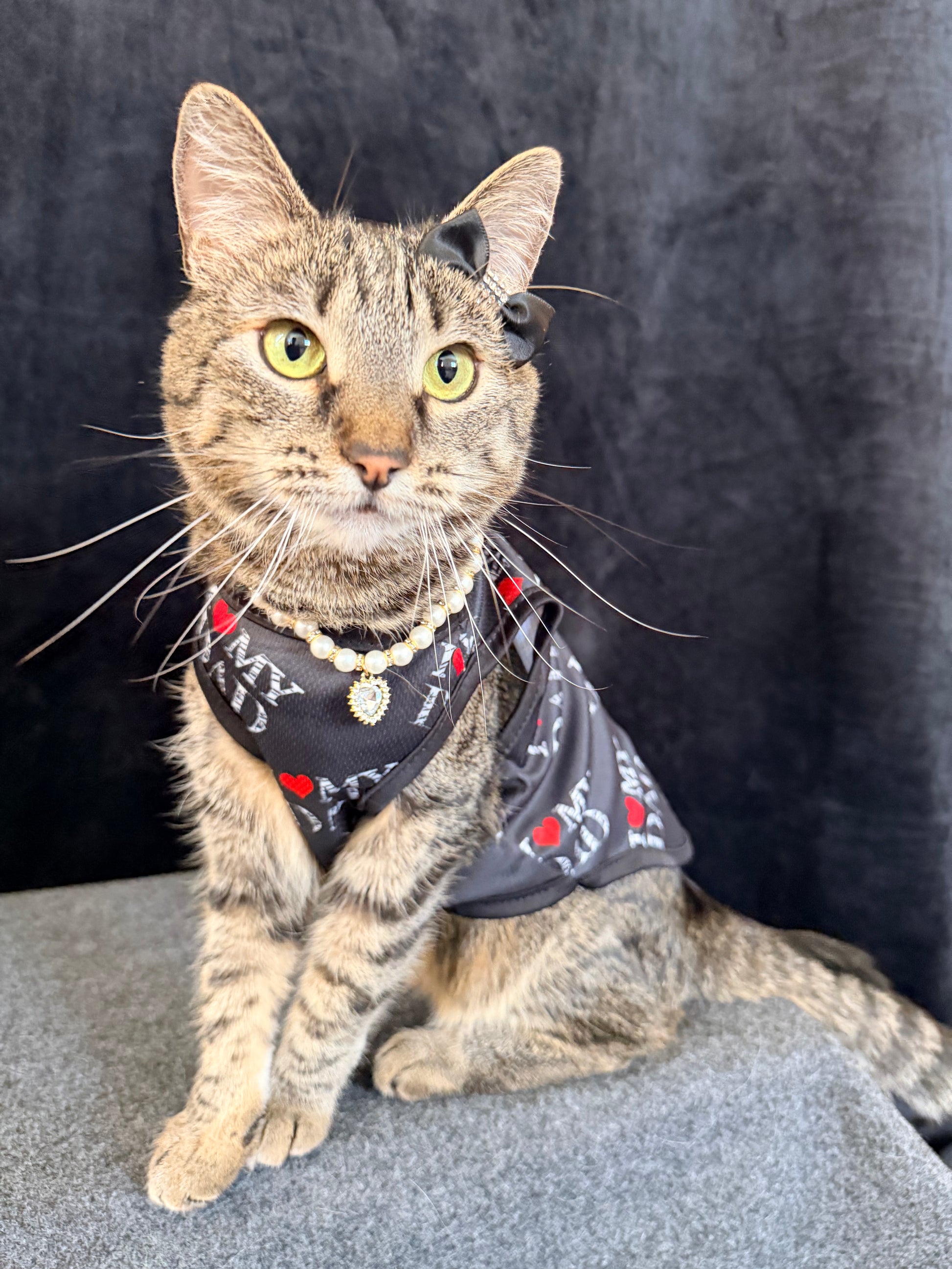 A tabby cat wearing a black bandana-style pet shirt with red hearts and white text, along with a pearl necklace, sitting against a dark gray fabric backdrop.