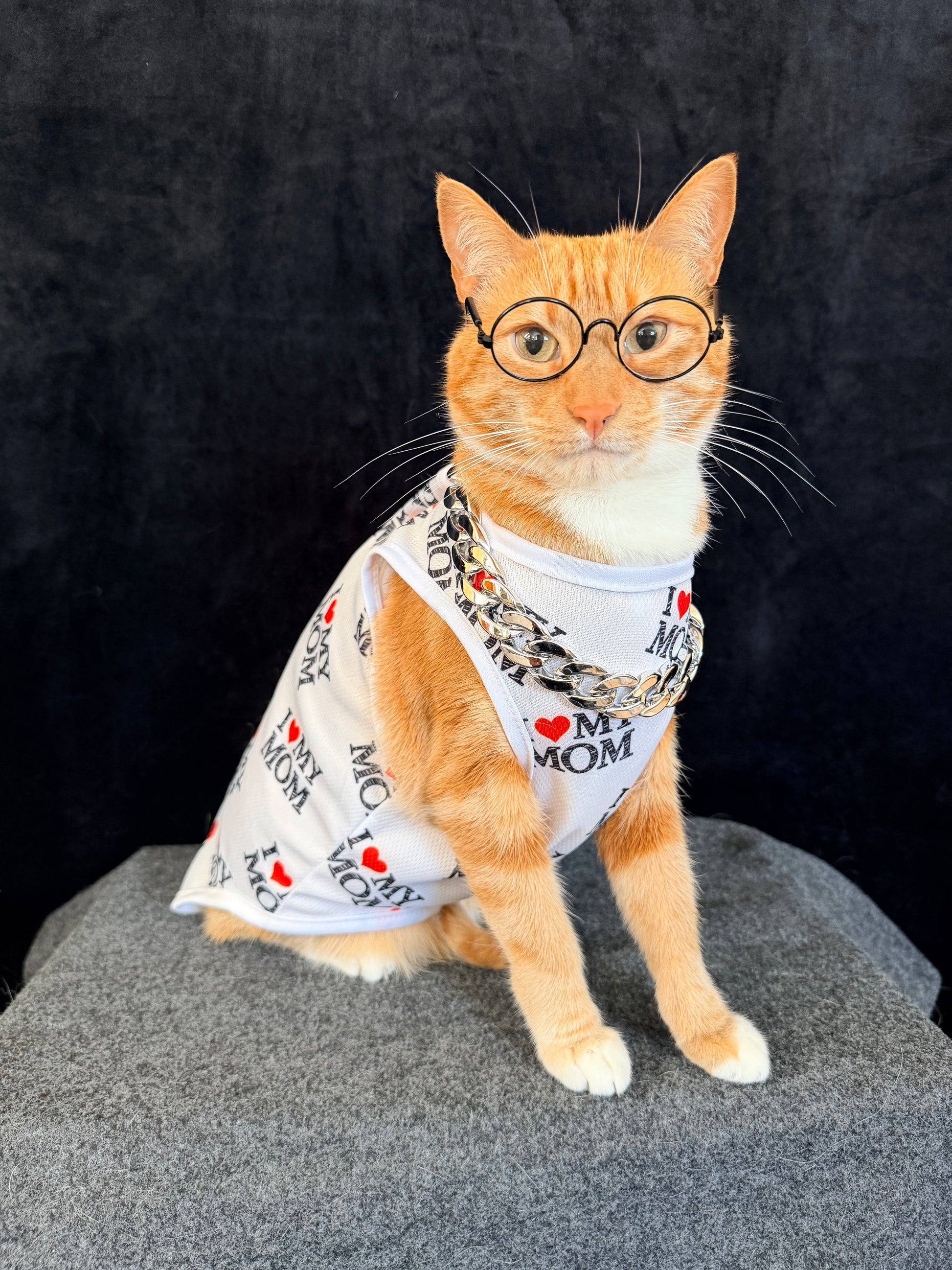 An orange tabby cat wearing round black glasses and a white pet bandana shirt with 'MY MOM' and heart prints, sitting on a gray cushion against a black background.