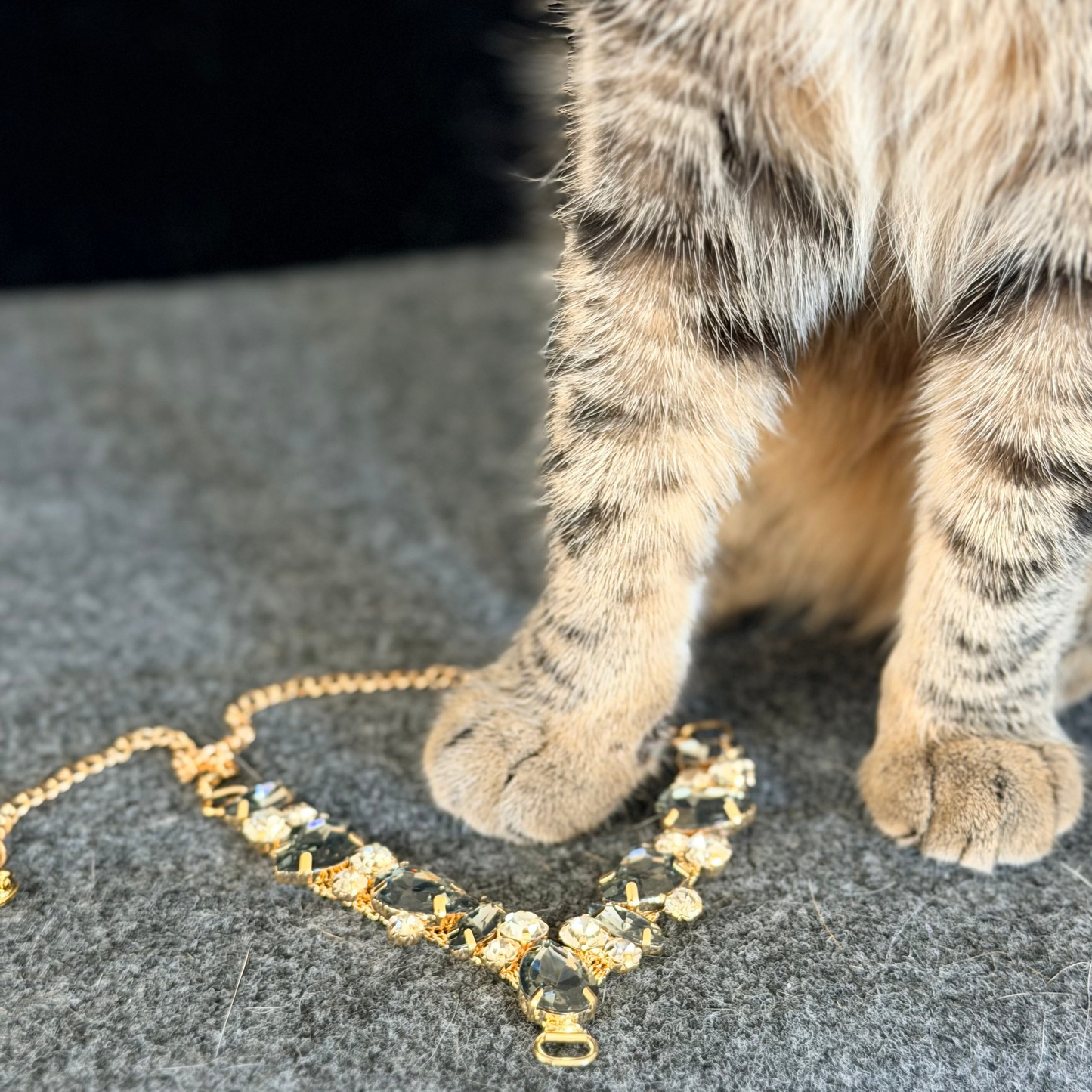 Pet Fancy Necklace