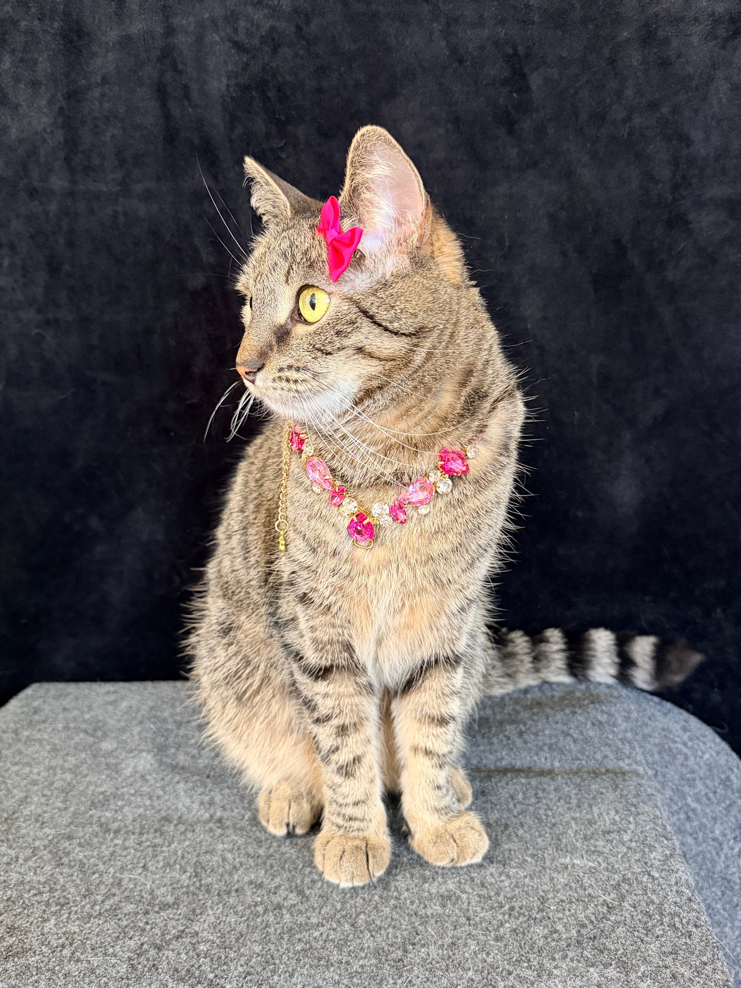Pet Fancy Necklace