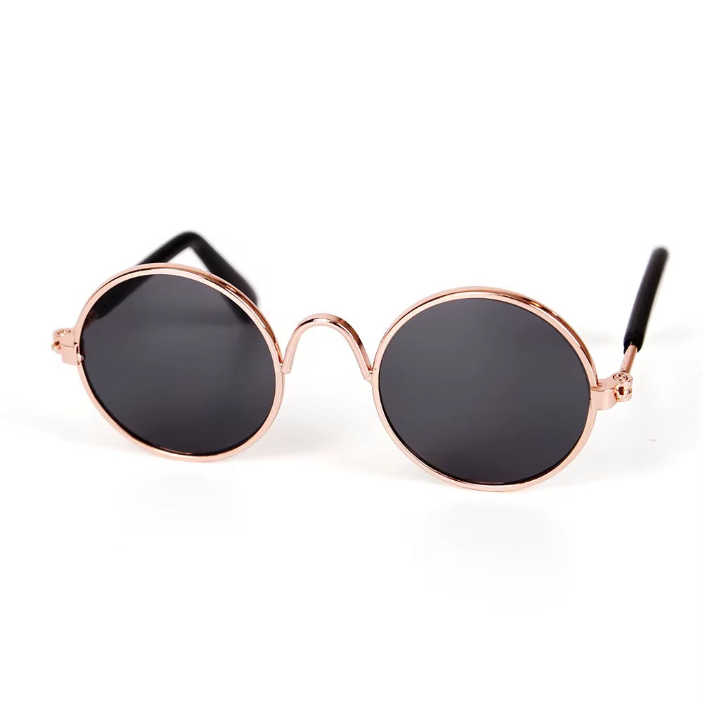 Catwalk Sunglasses