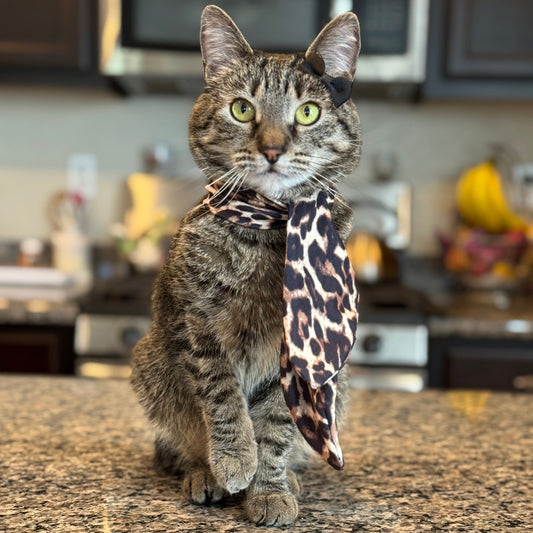 Catwalk Combo (Pet Scarf & Bow)