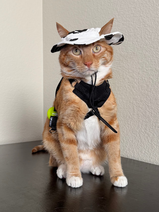 Pet Bucket Hats