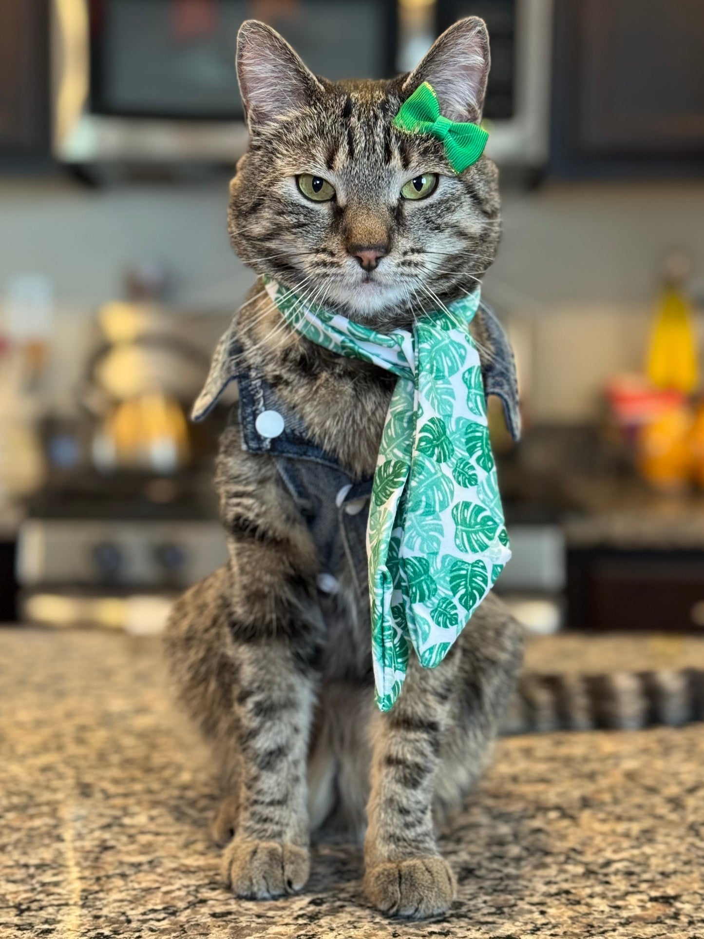 Pet Scarf