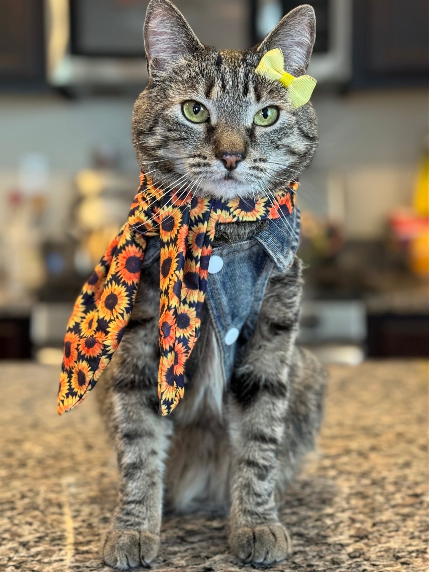 Pet Scarf