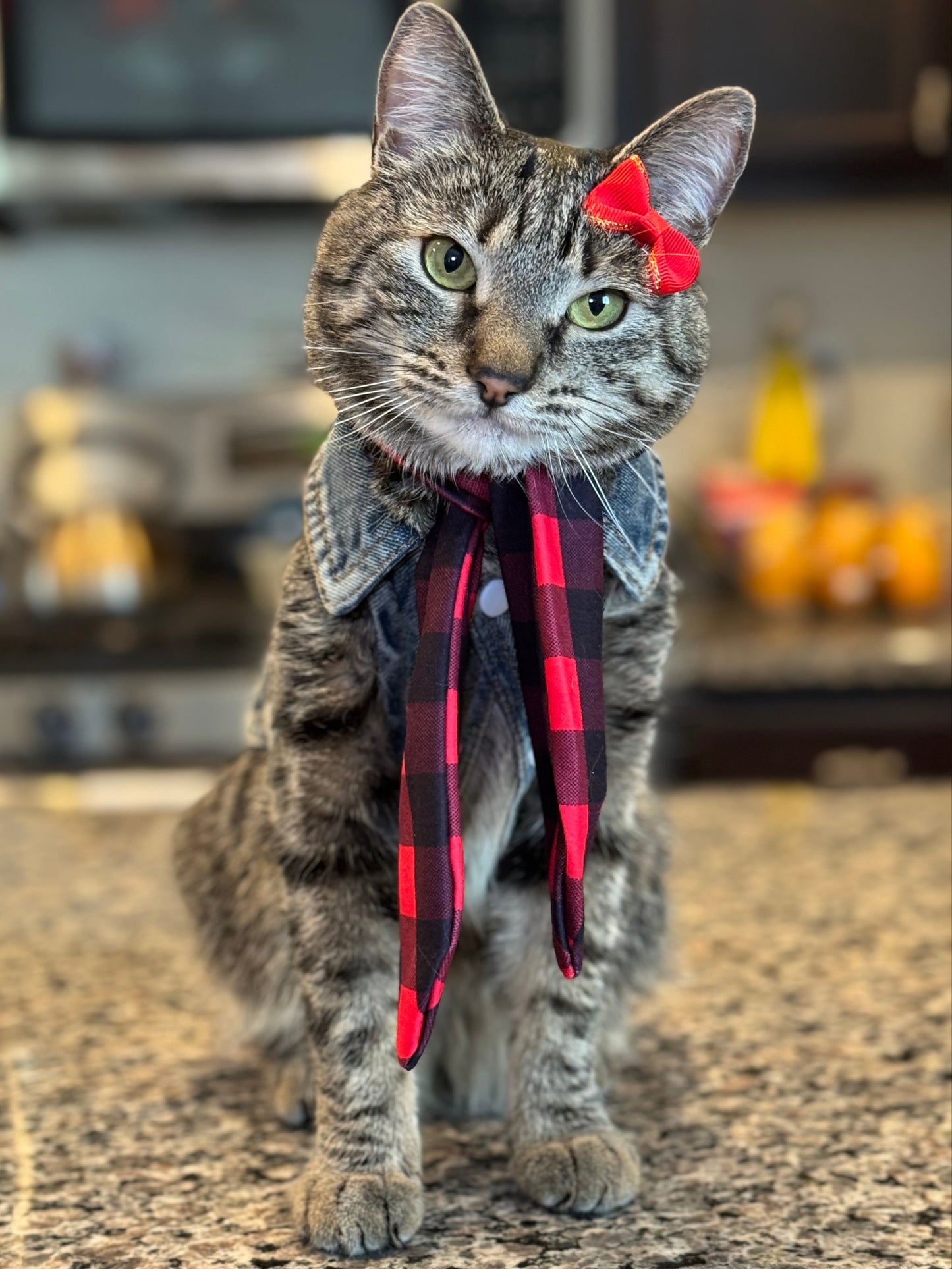 Pet Scarf