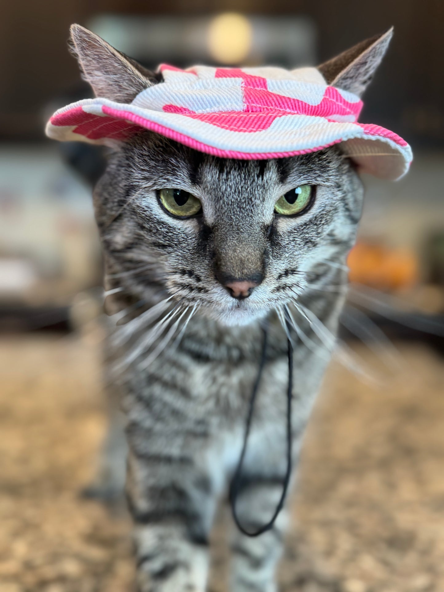 Pet Bucket Hats