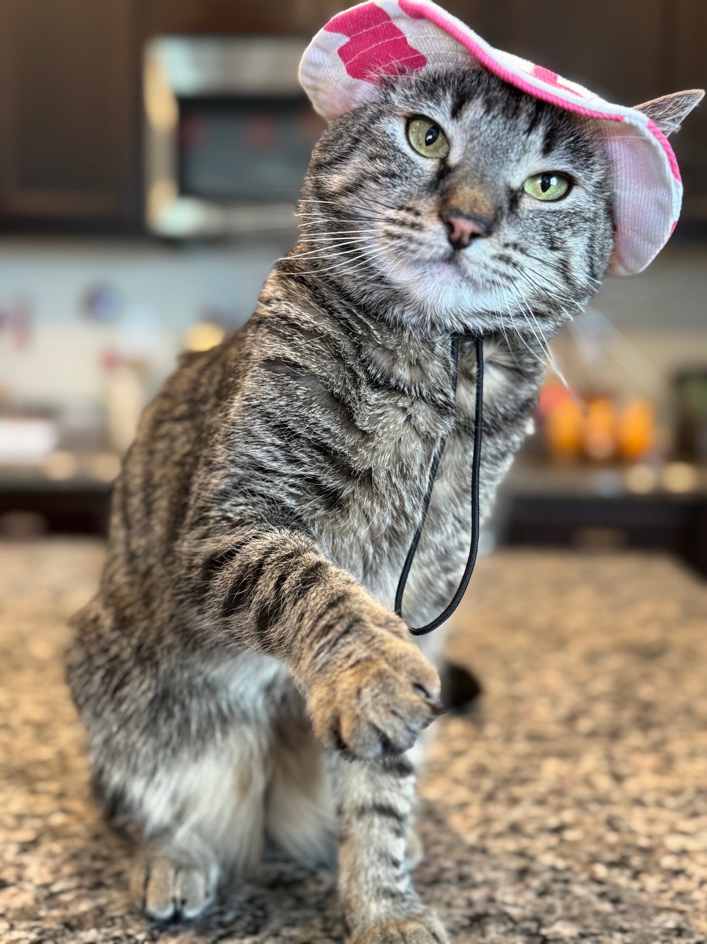 Pet Bucket Hats