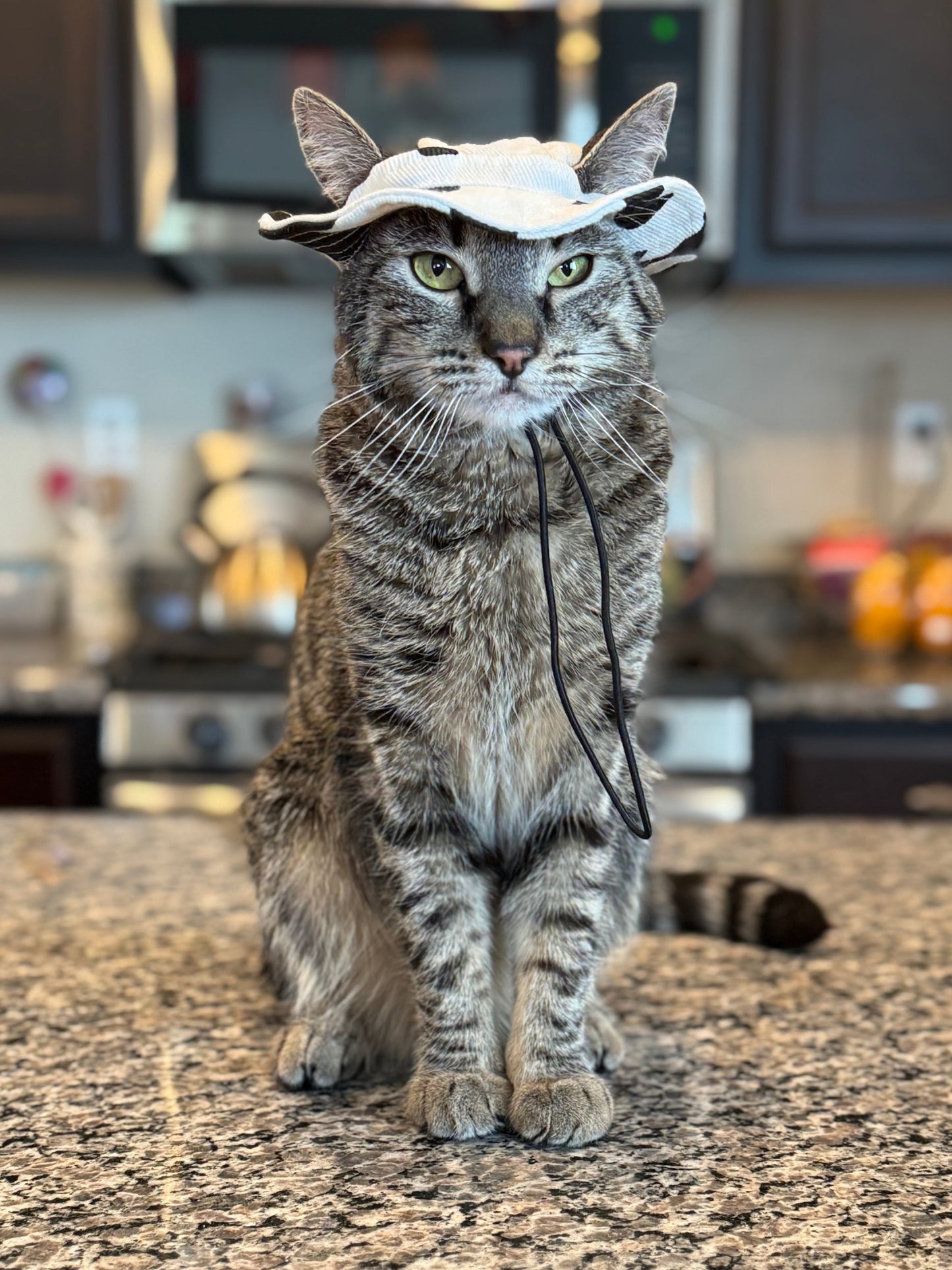 Pet Bucket Hats
