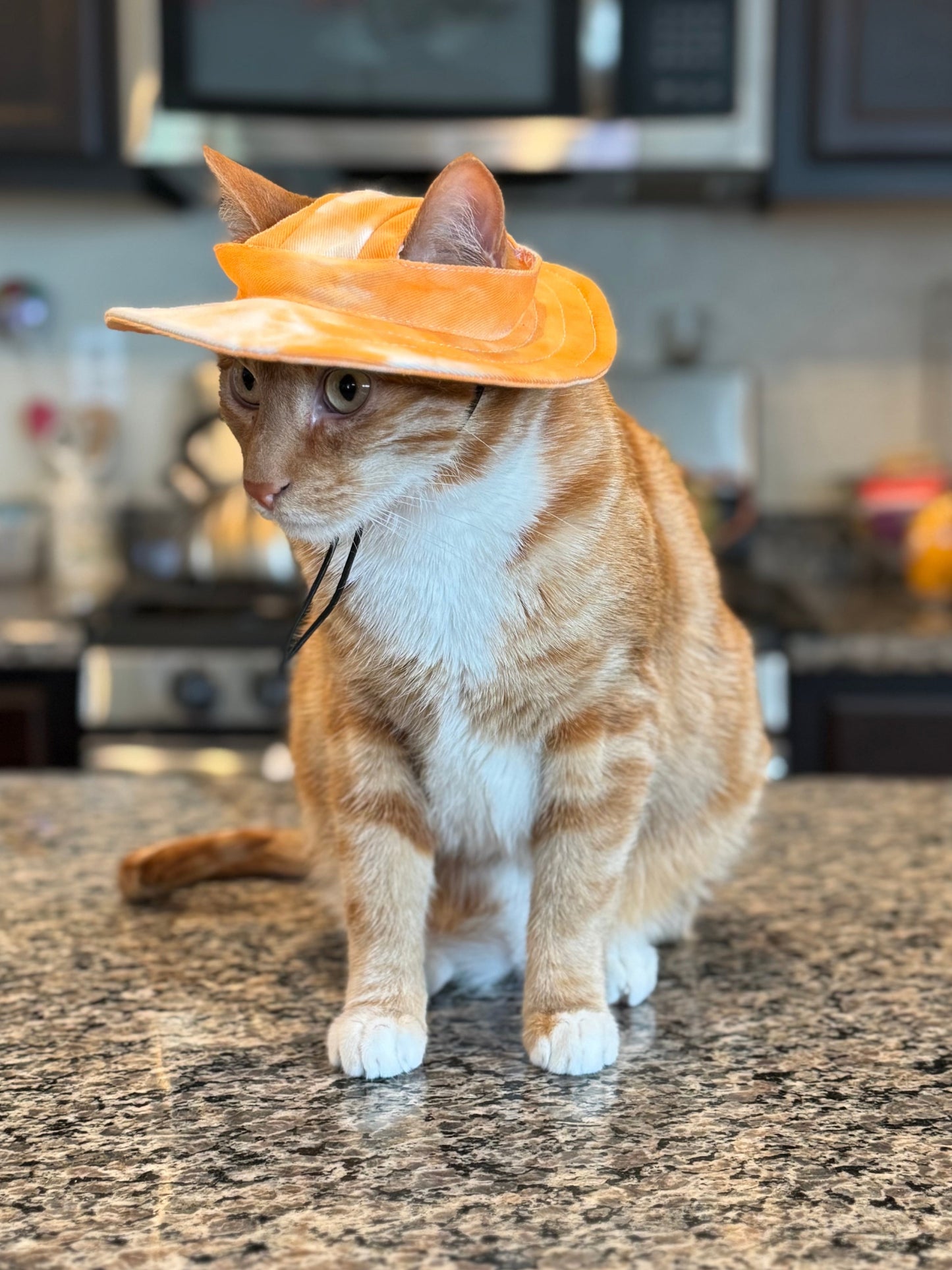 Pet Bucket Hats