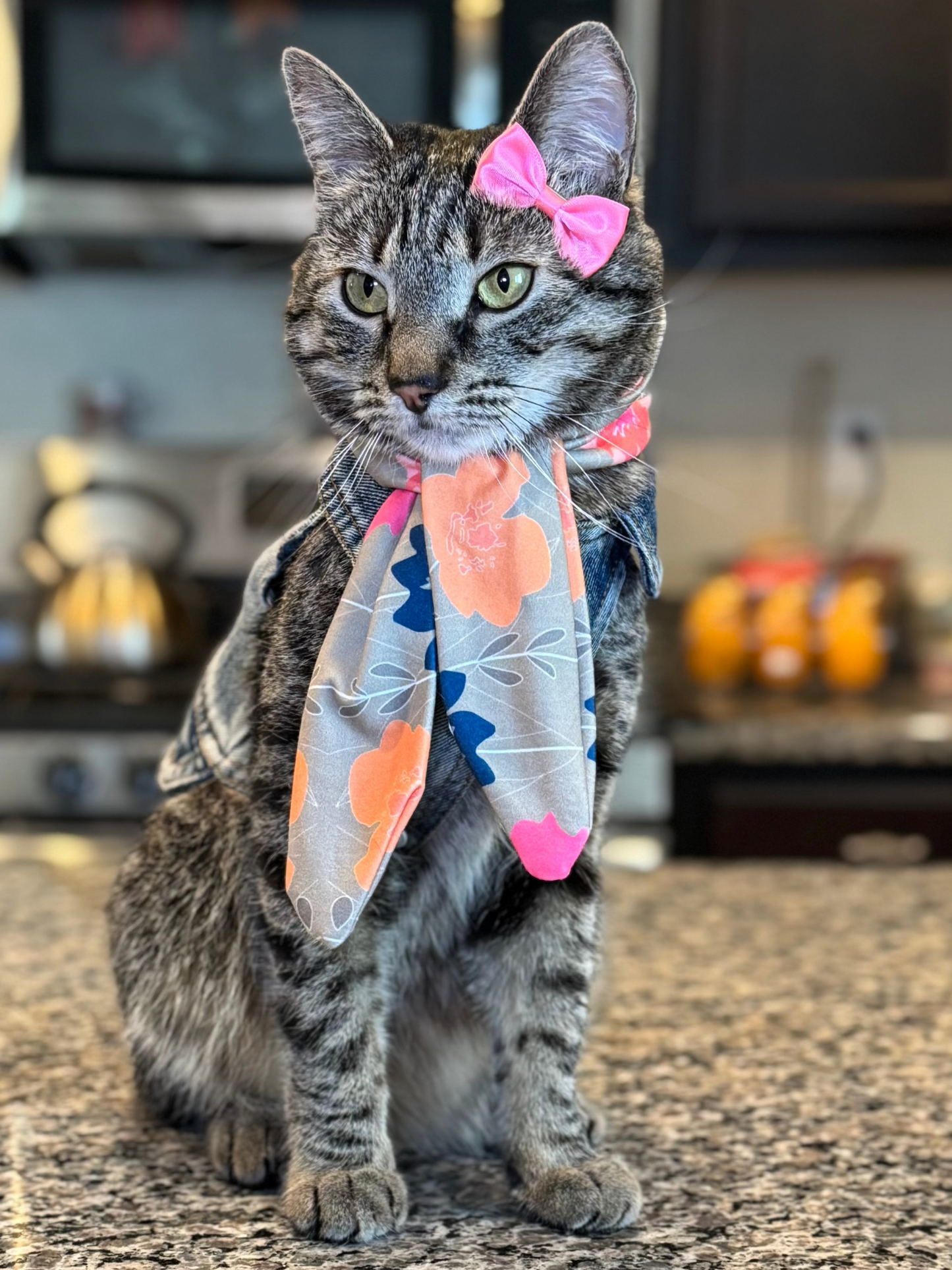 Pet Scarf