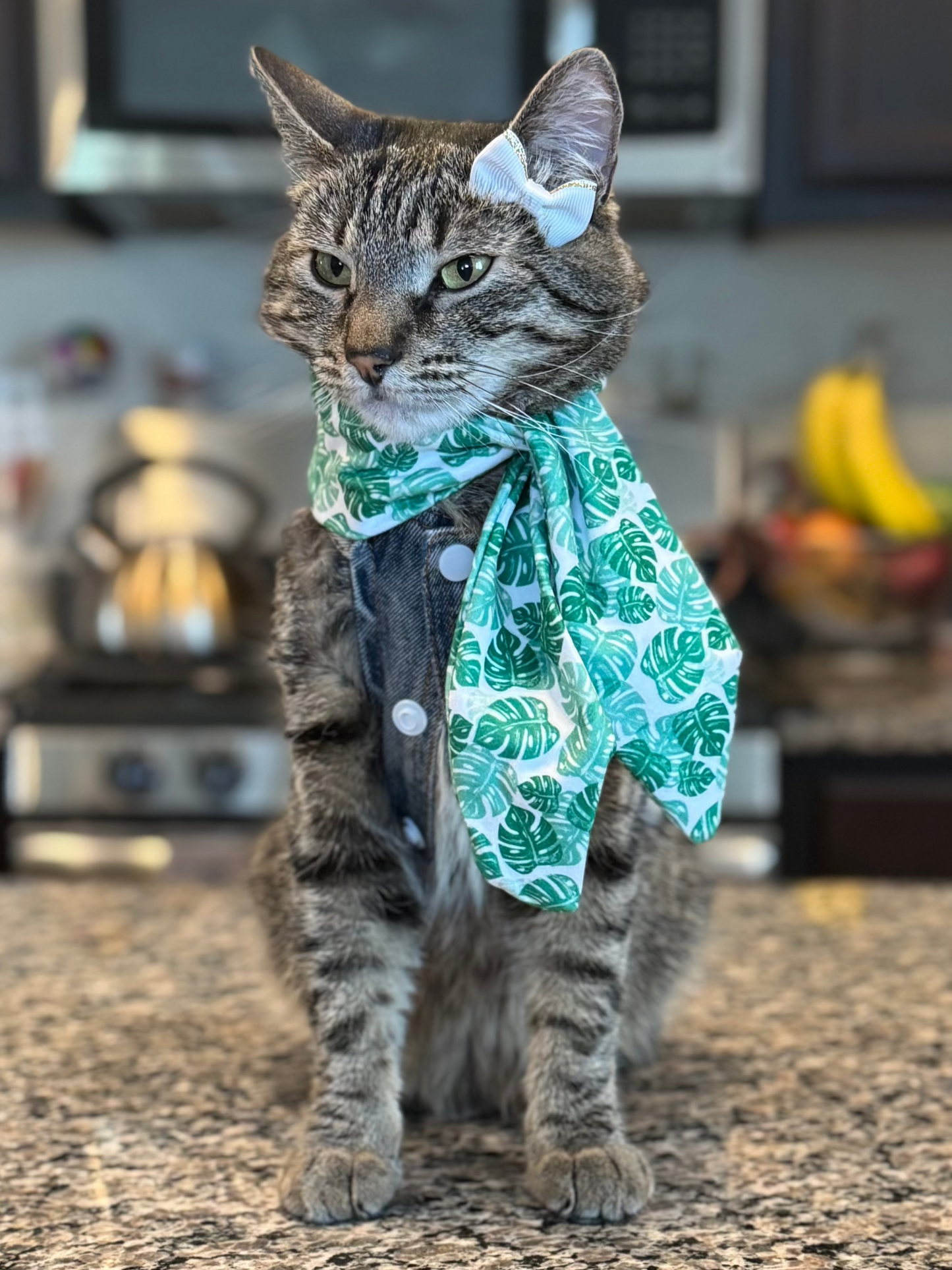 Catwalk Combo (Pet Scarf & Bow)