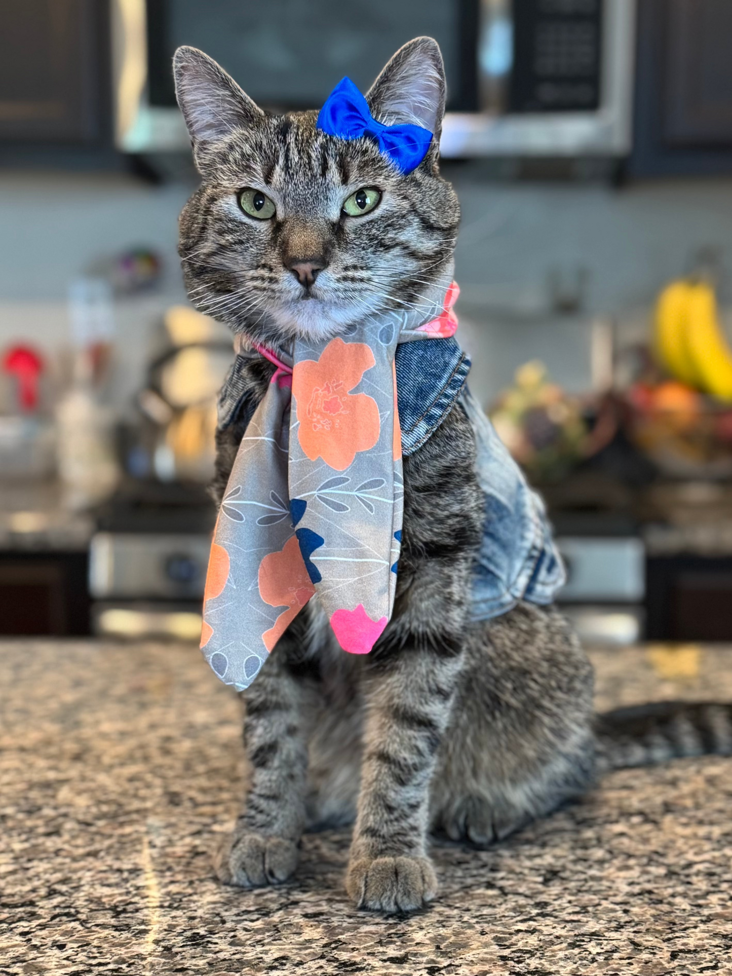 Catwalk Combo (Pet Scarf & Bow)