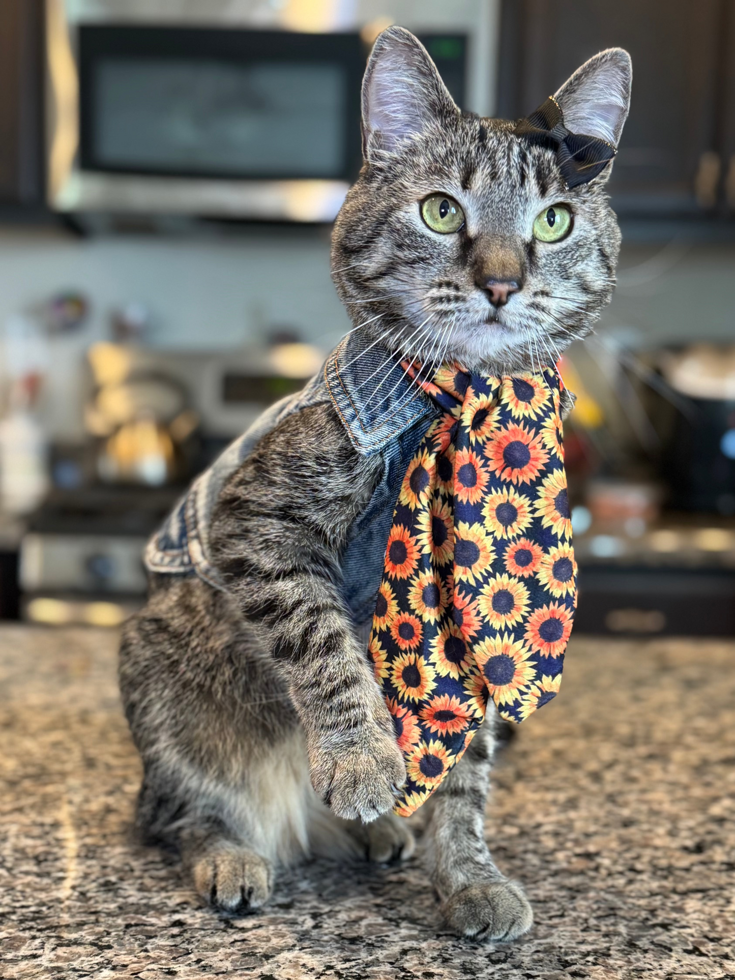 Catwalk Combo (Pet Scarf & Bow)