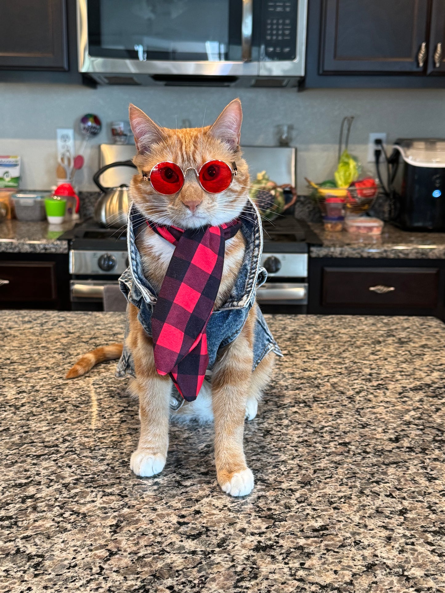 Catwalk Sunglasses