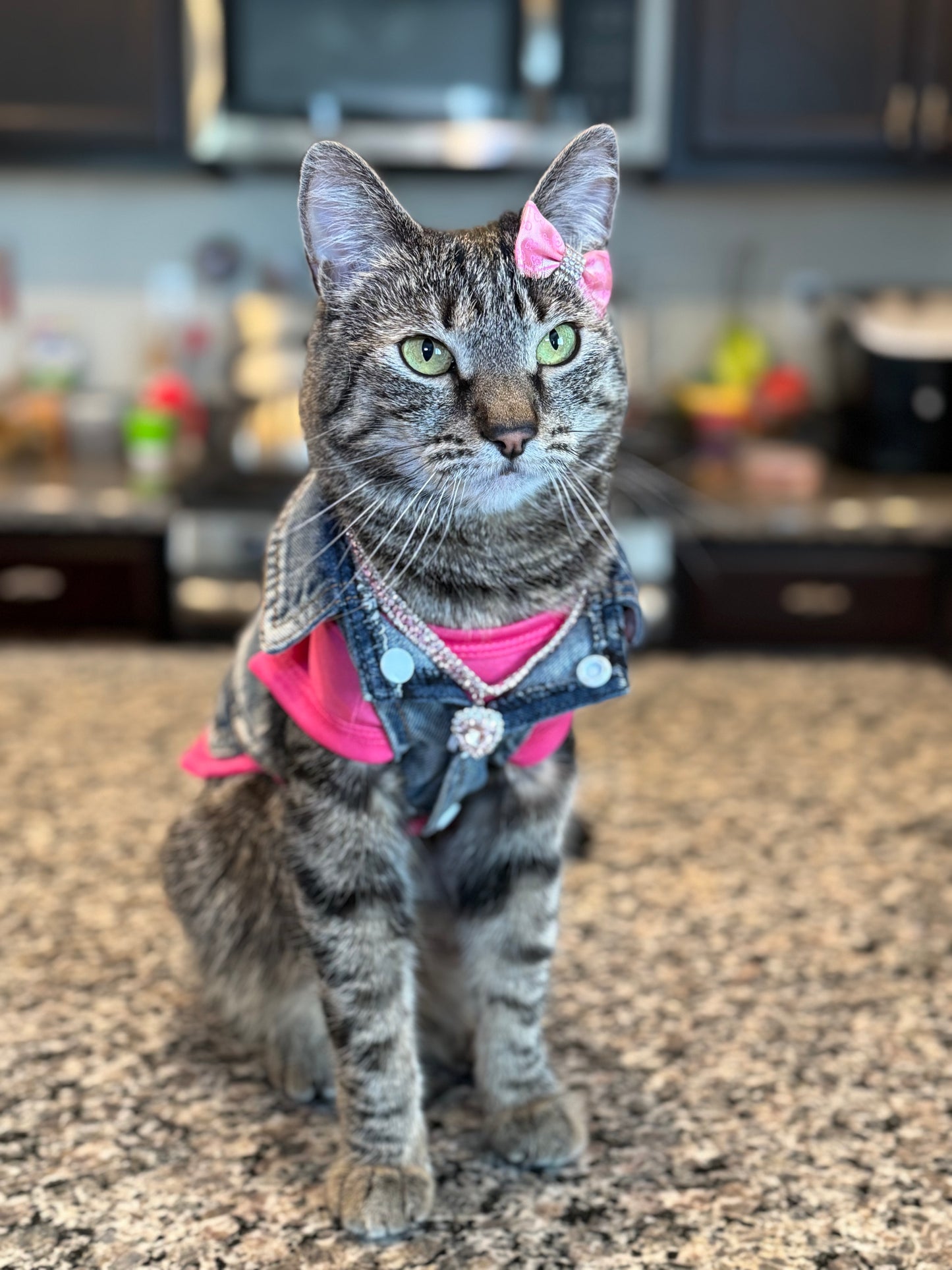 Pet Rhinestone Heart Necklace