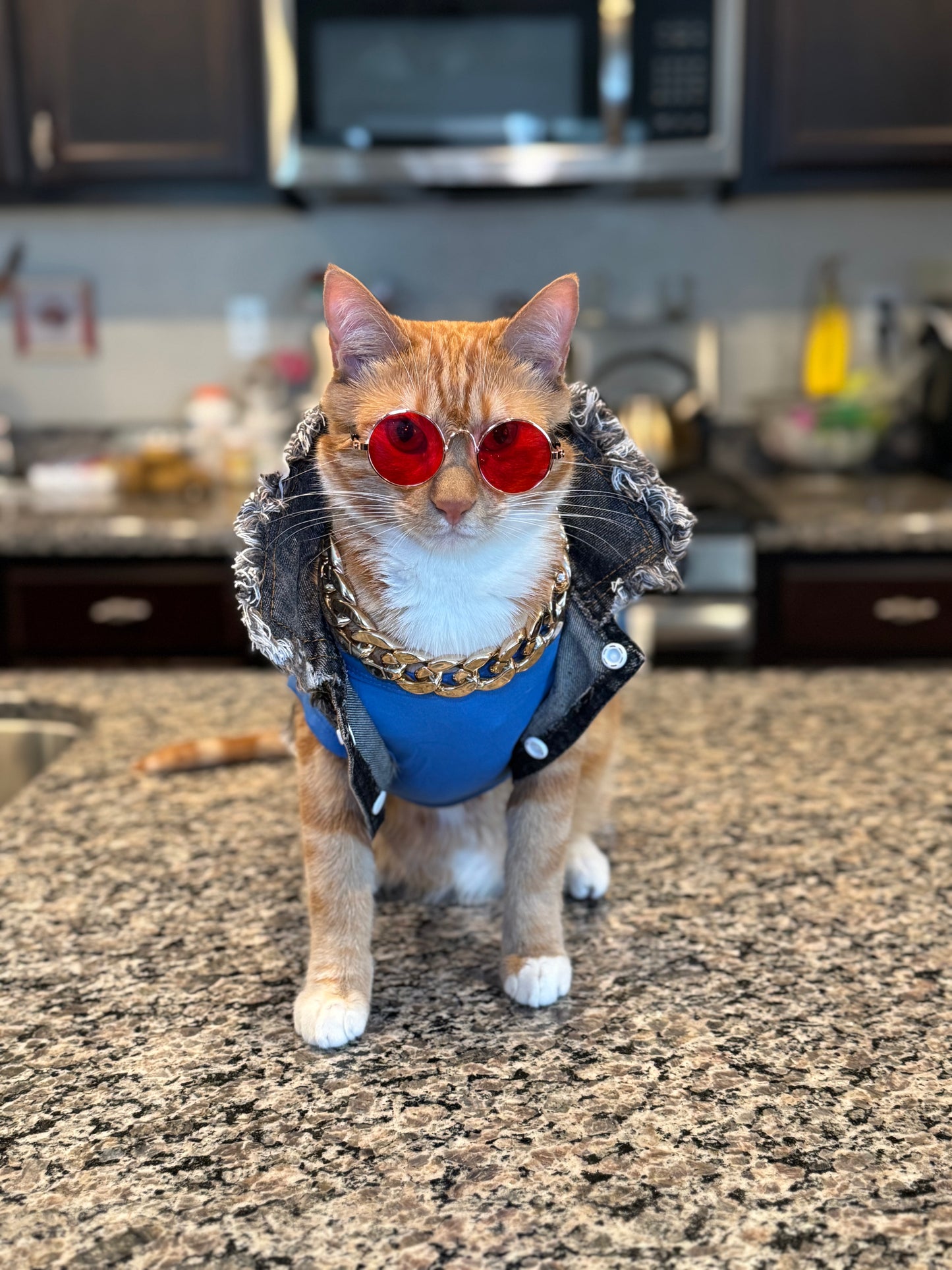 Catwalk Sunglasses