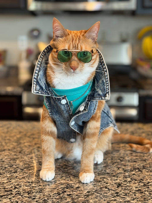 Catwalk Sunglasses