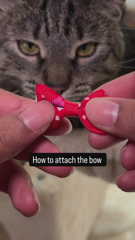 Pet Assorted & Matching- Rhinestone Bows